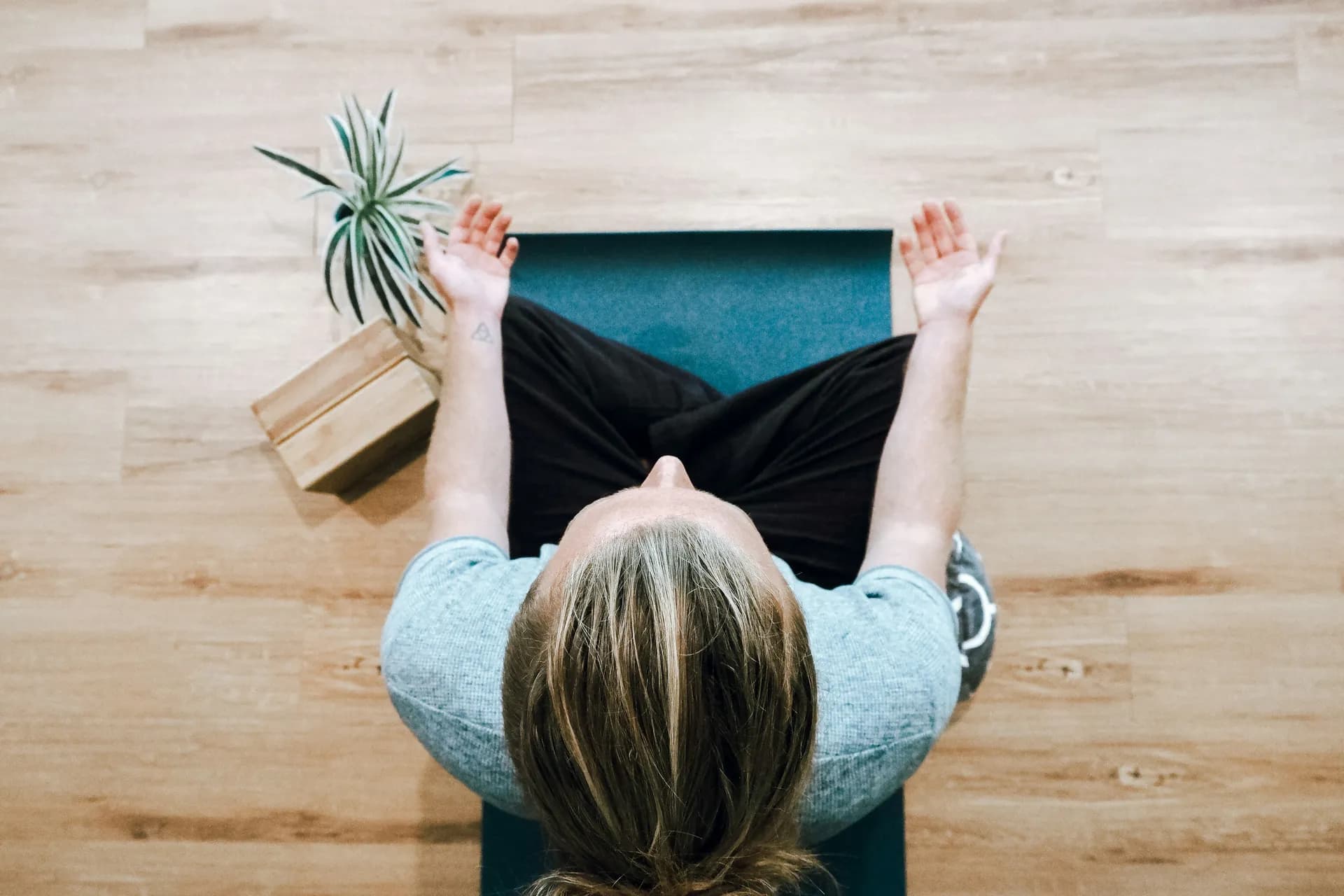 Programas de Mindfulness que Transforman tu Salud